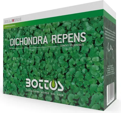 Image de Dichondra Repens - Semences de gazon professionnelles Bottos 500 g