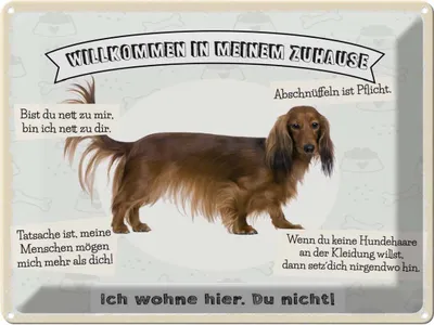 Produktbild von vianmo Blechschild 30x40 cm Tiere Hund ich wohne hier du nicht Tier Haustier