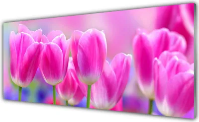 Produktbild von Acrylglasbilder 125x50 Wandbild Druck Tulpen Pflanzen
