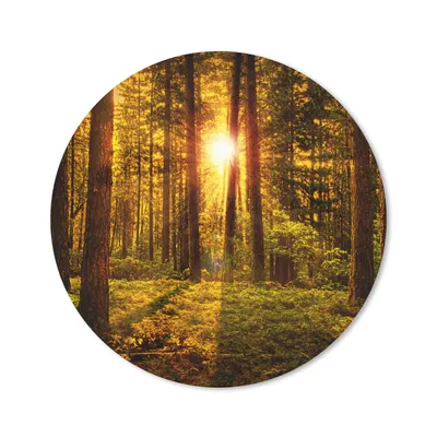 Produktbild von MuchoWow® Mauspad Mousepad Wald - Sonne - Bäume - Natur - Sonnenuntergang 20x20 cm - Mousepads - Maus Mat - Pad - Mausunterlage - Schreibtischmatte