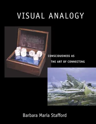 Produktbild von Visual Analogy