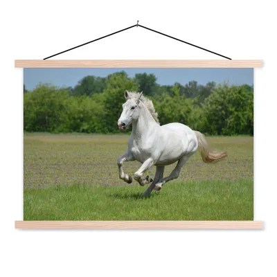 Produktbild von MuchoWow® Textilposter Pferde - Natur - Weiß 60x40 cm mit holzfarbenen Rahmen - Bilder