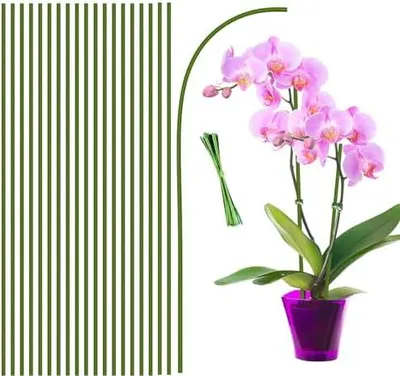 Produktbild von Pflanzenstütze 44.5CM, HOUNANG 20 Stück Pflanzstäbe für Innen- und Außenbereich, Flexibler Orchideenstäbe aus Grünem Kunststoff und Metall, Pflanzen Stütze,Professionelles Pflanzenstab