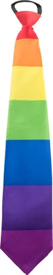 Immagine prodotto di Accessorio per cravatta arcobaleno CSD colorato - taglia unica
