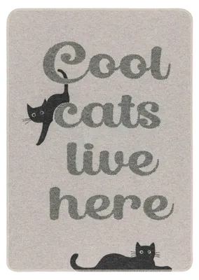 Produktbild von Haustierdecke cool cats... 70 x 90 cm - Filz - von David Fussenegger