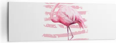 Produktbild von Bild auf Leinwand - Leinwandbild - Flamingo Vogel Wasser - 160x50cm - Wand Bild - Wanddeko - Leinwanddruck - Bilder - Kunstdruck - Wanddekoration - Leinwand bilder - Wandkunst - AB160x50-3938