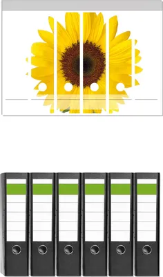 Produktbild von Wallario 6 Stück breite Ordner inkl. Klebeetiketten mit Motive Sonnenblume -  Set mit Rückenschildern / Ordnerrücken Stickern