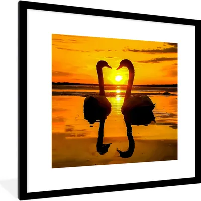 Produktbild von MuchoWow® Gerahmtes Poster Schwäne - Sonnenuntergang - Vogel - Orange - Wasser 40x40 cm - Poster mit Schwarzem Bilderrahmen Wandposter Rahmen Foto Bilder - Poster - Plakat im Rahmen