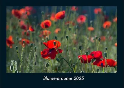 Produktbild von Blumenträume 2025 Fotokalender DIN A4