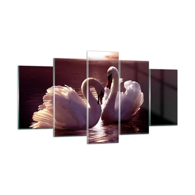 Produktbild von Bilder auf glas - Schwäne Landschaft Wasser - 160x85cm - Glasbilder - Wandbilder - Kunstdruck - zum Aufhängen bereit - Wanddekoration aus Glas - Glas Bilder - Wandbild auf Glas - GEA160x85-0223