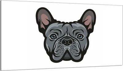 Image de Plaque de recouvrement 90x52 pour cuisinière Vitrocéramiquefeld Couverture anti-éclaboussures Plaque de verre Déco Planche à découper, Chien Gris