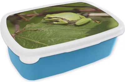 Obrázok produktu pre KitchenYeah® Lunchbox Box na desiatu 17x11 cm Žaba - plazy - džungľa Detský box na desiatu - obed - plastový - chlebová forma - sendvičový box - box na desiatu pre deti