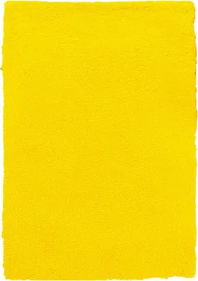 Zdjęcie produktu dla 160x230 cm Wykładzina dywanowa Spring Yellow