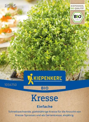 Artikelbild 2 von 'BIO Kresse Einfache (30 g)' aus der Kategorie Kressesamen