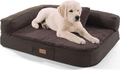 Produktbild von Brunolie Odin Hundesofa, waschbar, orthopädisch und rutschfest, Hundekissen mit Abnehmbarer Lehne, hundekorb, Hundesofa Größe S 80x60 cm