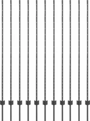 Image de vidaXL Poteaux de clôture 11 pcs Gris 150 cm Acier