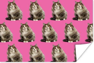 Produktbild von MuchoWow® Poster Tier - Muster - Rosa 180x120 cm - Fotoplakat