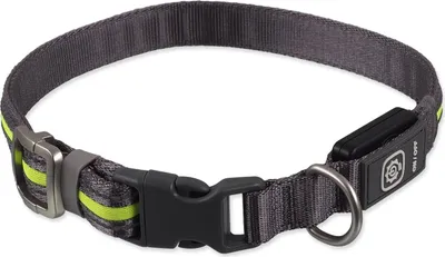 Zdjęcie produktu dla Obroża Dog Fantasy USB LED nylonowa świecąca M-L zielona 2,5x45-65cm
