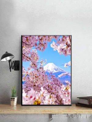 Produktbild von Malen nach Zahlen Diamant Malerei Kirschblüten mit Berg 30x40cm - DIY Malen nach Zahlen
