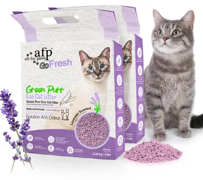 Imagen del producto de Solidchoice - Arena para gatos con excelente control de olores - 2 x 5 lbs