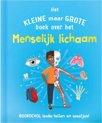 Image de Rebo-Verlag das kleine, aber große Buch über? menschlicher Körper