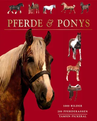 Produktbild von Pferde & Ponys