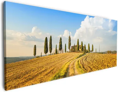 Produktbild von Wallario Premium Leinwandbild Italien - Toskana unter blauem Himmel  einsame Farm in Größe 60 x 150 cm