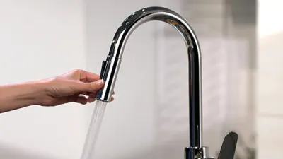 Image de Hansgrohe Focus Mitigeur d'évier chromé avec douchette extractible