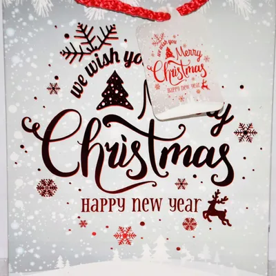 Produktbild von W&K Geschenkpapier-Tasche Weihnachten 18x23x10cm