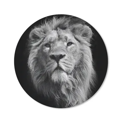 Produktbild von MuchoWow® Mauspad Mousepad Löwe - Porträt - Schwarz - Weiß 50x50 cm - Mousepads - Maus Mat - Pad - Mausunterlage - Vinyl
