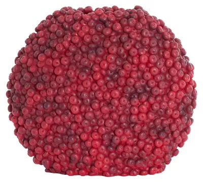Obrázek produktu pro Light & Living – Váza Berries – Bordeaux – 44 × 19 × 37 cm