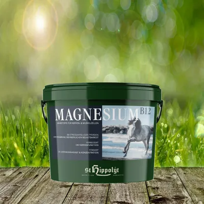 Produktbild von St Hippolyt Magnesium B12 - 25 kg