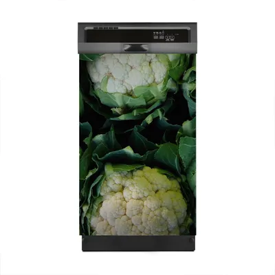 Produktbild von Aufkleber sticker 45x70 cm Dekorative folie Spülmaschine - Blumenkohlblüten Gemüse