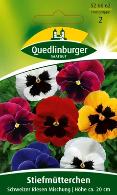Produktbild von Stiefmütterchen, Schweizer Riesen Mischung