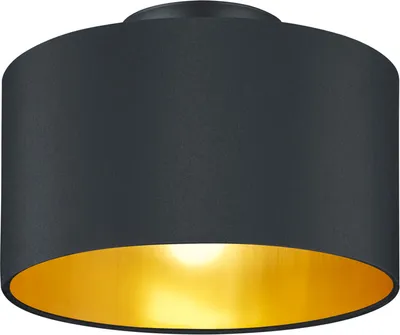 Image de HOSTEL plafonnier moderne noir Trio 608200279