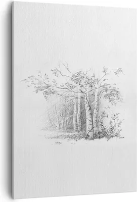 Produktbild von Bild auf Leinwand - Leinwandbild - Einteilig - Skizze Wald Birke - 50x70cm - Wand Bild - Wanddeko - Wandbilder - Leinwanddruck - Kunstdruck - Wanddekoration - Leinwand bilder - Wandbild - PA50x70-4280