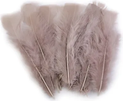 20 Natur-Putenfedern, 11-17cm, Farbwahl, unterschiedliche Farben - DIY Deko Federn stone