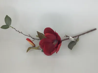 Produktbild von Formano Magnolie 40cm   bordeaux sort.