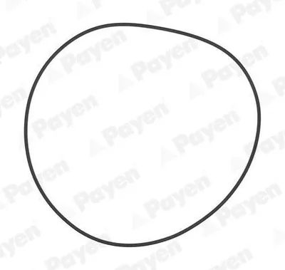 Produktbild von PAYEN Dichtungssatz Zylinderlaufbuchse PA708 für RENAULT TRUCKS C 2mm FPM (Fluor-Kautschuk) 129mm
