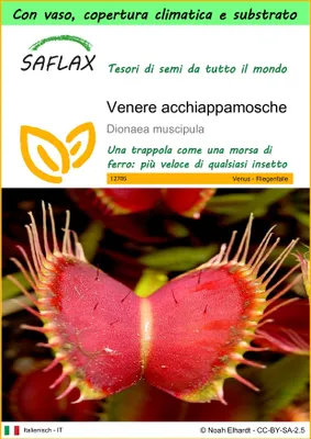 Immagine prodotto di SAFLAX Garden to go - Venere acchiappamosche - 10 semi - Dionaea