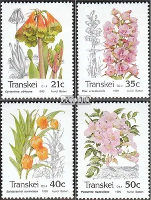 Produktbild von Briefmarken Südafrika - Transkei 1990 Mi 259-262 (kompl.Ausg.) FDC Pflanzen