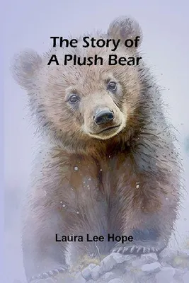 Produktbild von The Story of a Plush Bear