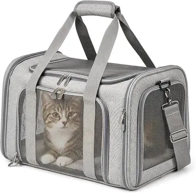Productafbeelding van Kattenrugzak en hondenrugzak voor kleine honden tot 5 kg, ademend, L