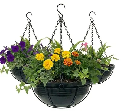 Produktbild von Plastard Blumenampel 3er-Set Ø 32 cm mit Metallkorb hängend Anthrazit