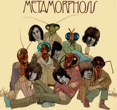 Zdjęcie produktu dla The Rolling Stones - Metamorphosis (180g) (Reissue) (LP)