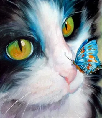 Immagine prodotto di Pittura per numeri Gatto e farfalla M169YH