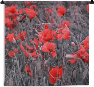 Produktbild von MuchoWow® Wandteppich Wandbehang Rote Mohnblumen in einem Schwarz-Weiß-Bild 90x90 cm Tapisserie Dekoration Wandtuch - Wandaufhänger