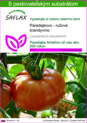 Obrázok produktu pre SAFLAX - Paradajkovo - ružové brandyvíno - Lycopersicon esculentum - 10 Semená - S pestovateľským substrátom bez klíčkov