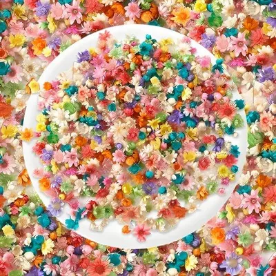 Image de Lot de fleurs miniatures pour le bricolage, le moulage, la fabrication de savon et la décoration de bougies - Assortiment de fleurs naturelles aux pétales colorés