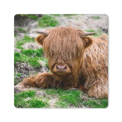 Produktbild von MuchoWow® Mauspad Mousepad Schottischer Highlander - Heu - Gras 20x20 cm - Mousepads - Maus Mat - Pad - Mausunterlage - Desk Mat - Bureauartikeln